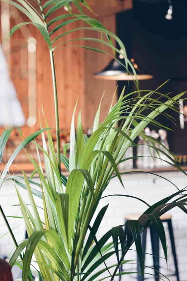Whole Venue in Autumn Yard Events Space with vibrant greenery for gatherings and events.