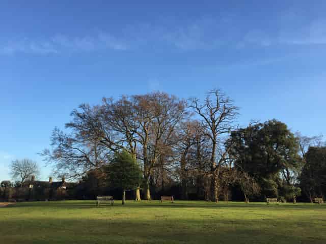 Main Lawn