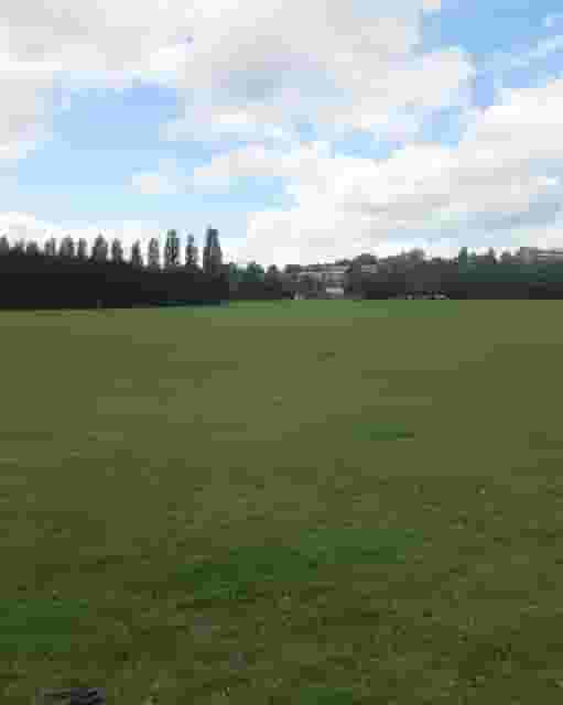 Main Field