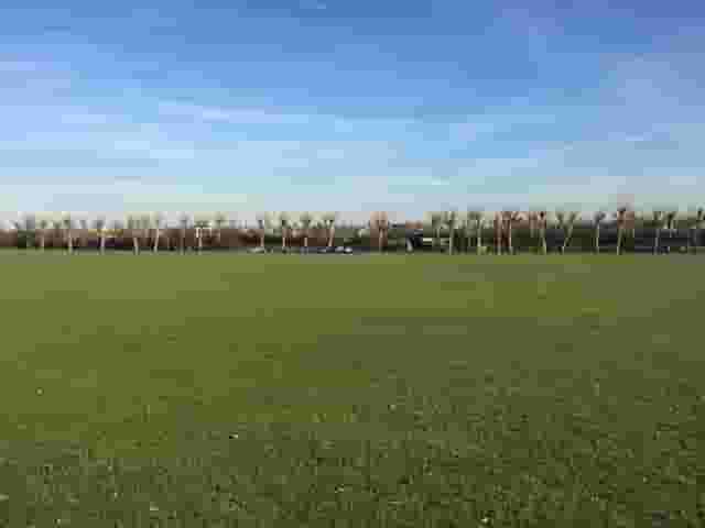 Main Field