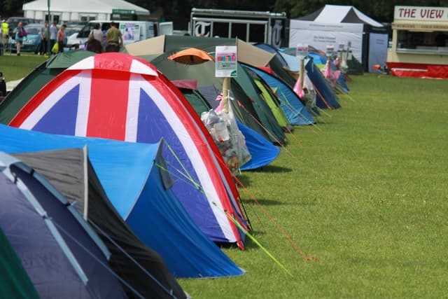 Main Field