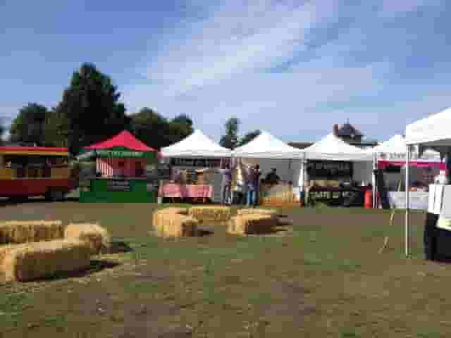 Main Field