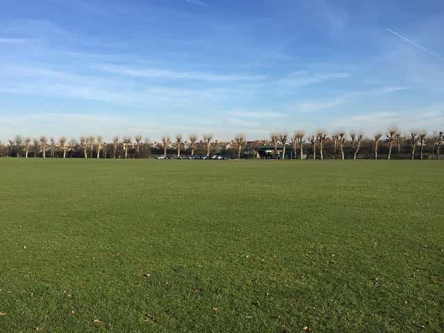Spacious green field in Wimbledon Park, ideal for outdoor events and gatherings.