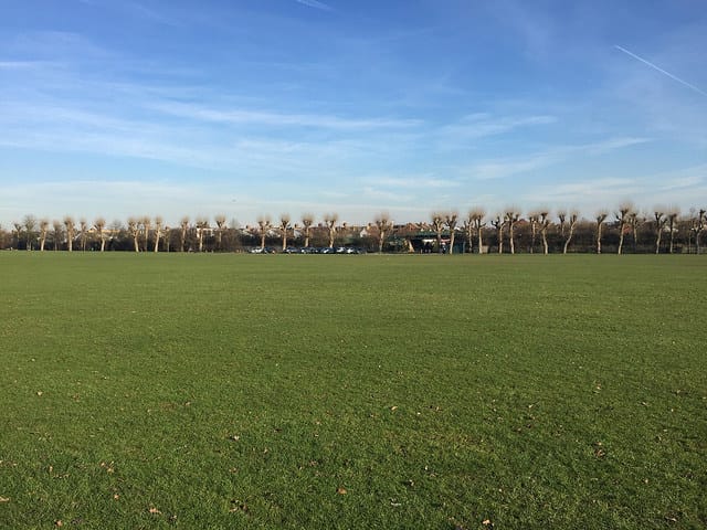 Spacious green field in Wimbledon Park, ideal for outdoor events and gatherings.