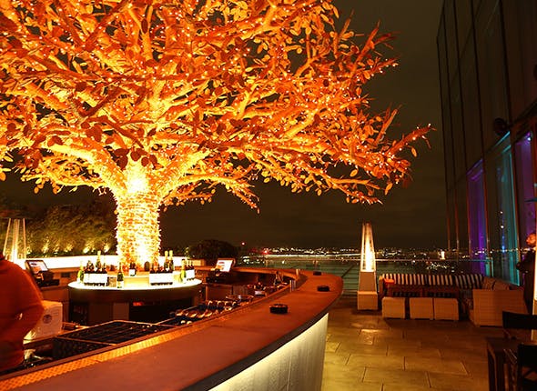 "Tree Terrace at SUSHI SAMBA with illuminated tree, ideal for upscale events and receptions."