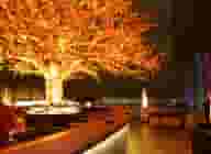 Private Dining Venues