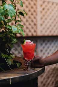 Cocktail Bars