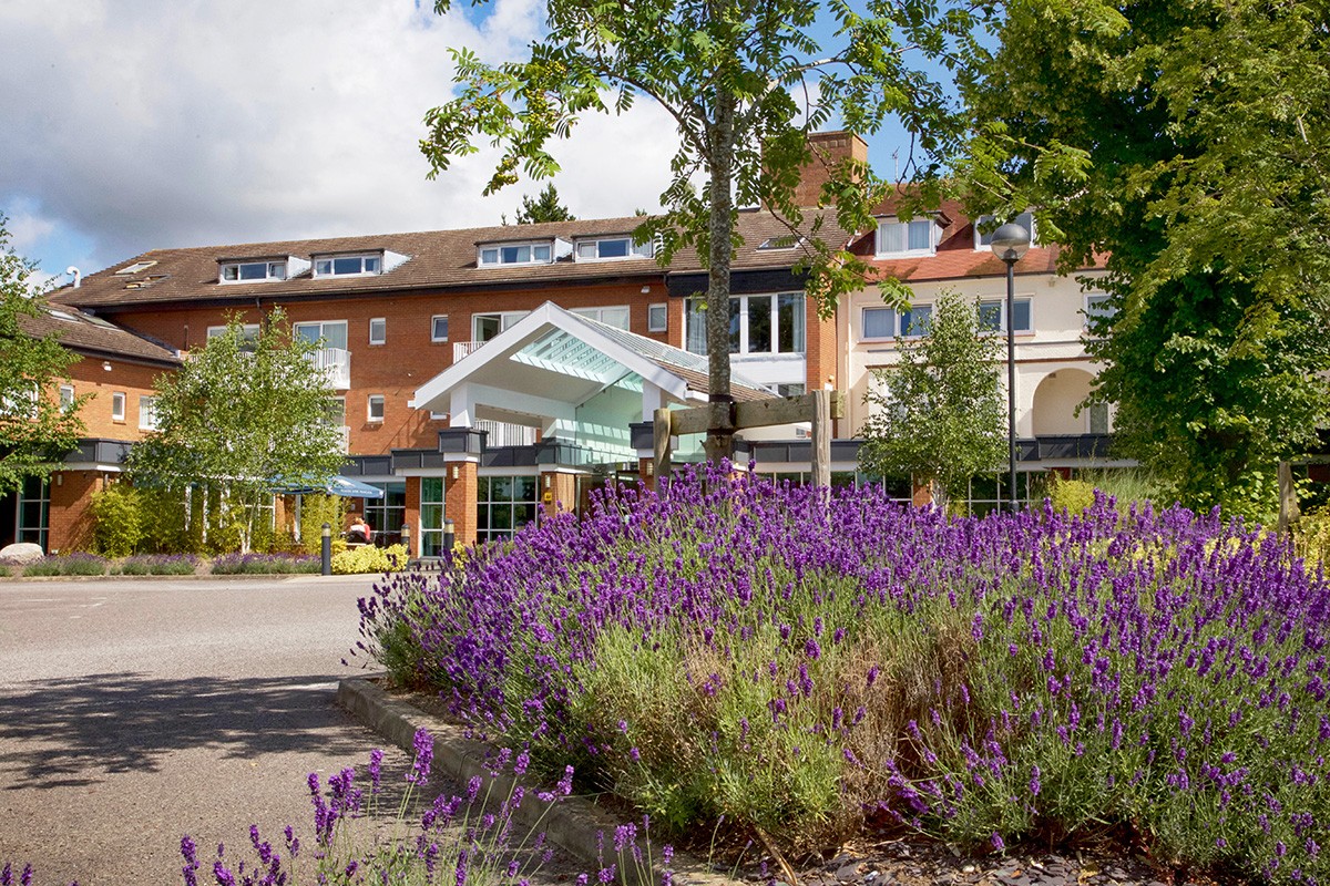 Tokyo Suite at Regency Park Hotel, modern venue with lavender landscaping for events. - Banner