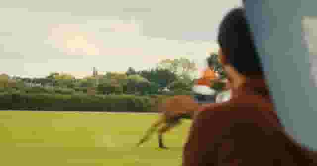 Emsworth Polo Grounds