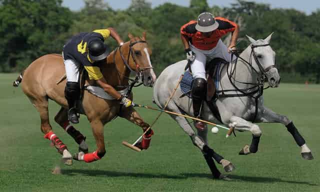 Emsworth Polo Grounds