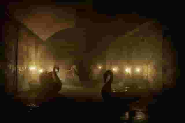 The Vaults