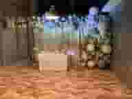 Party Venues