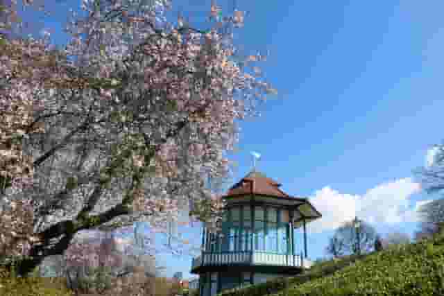 Horniman Museum and Gardens