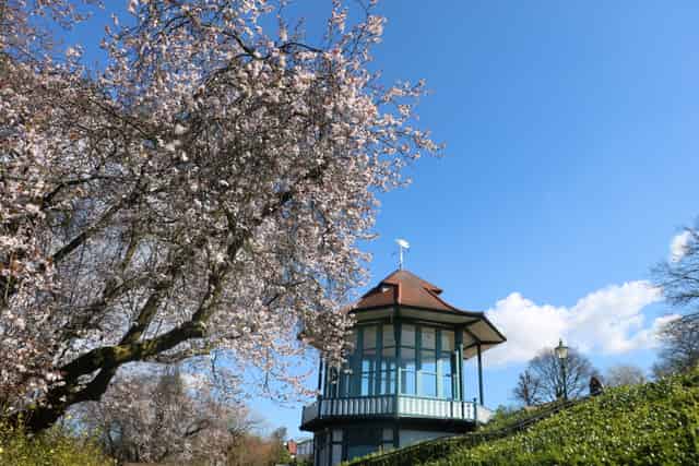 Horniman Museum and Gardens