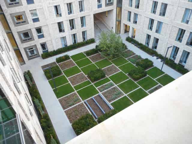 Lime Tree Suite