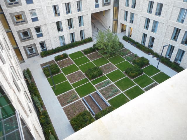 Lime Tree Suite