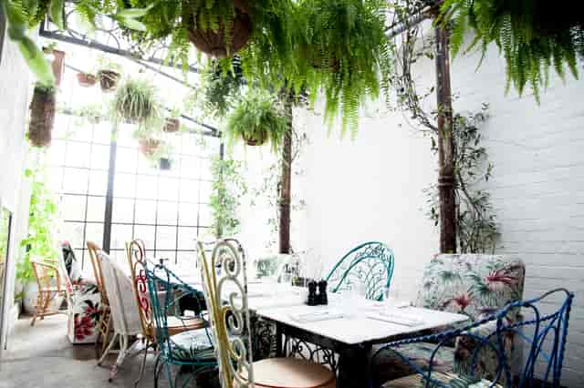 Charming greenhouse dining space with vintage furniture, ideal for brunch events and retreats.