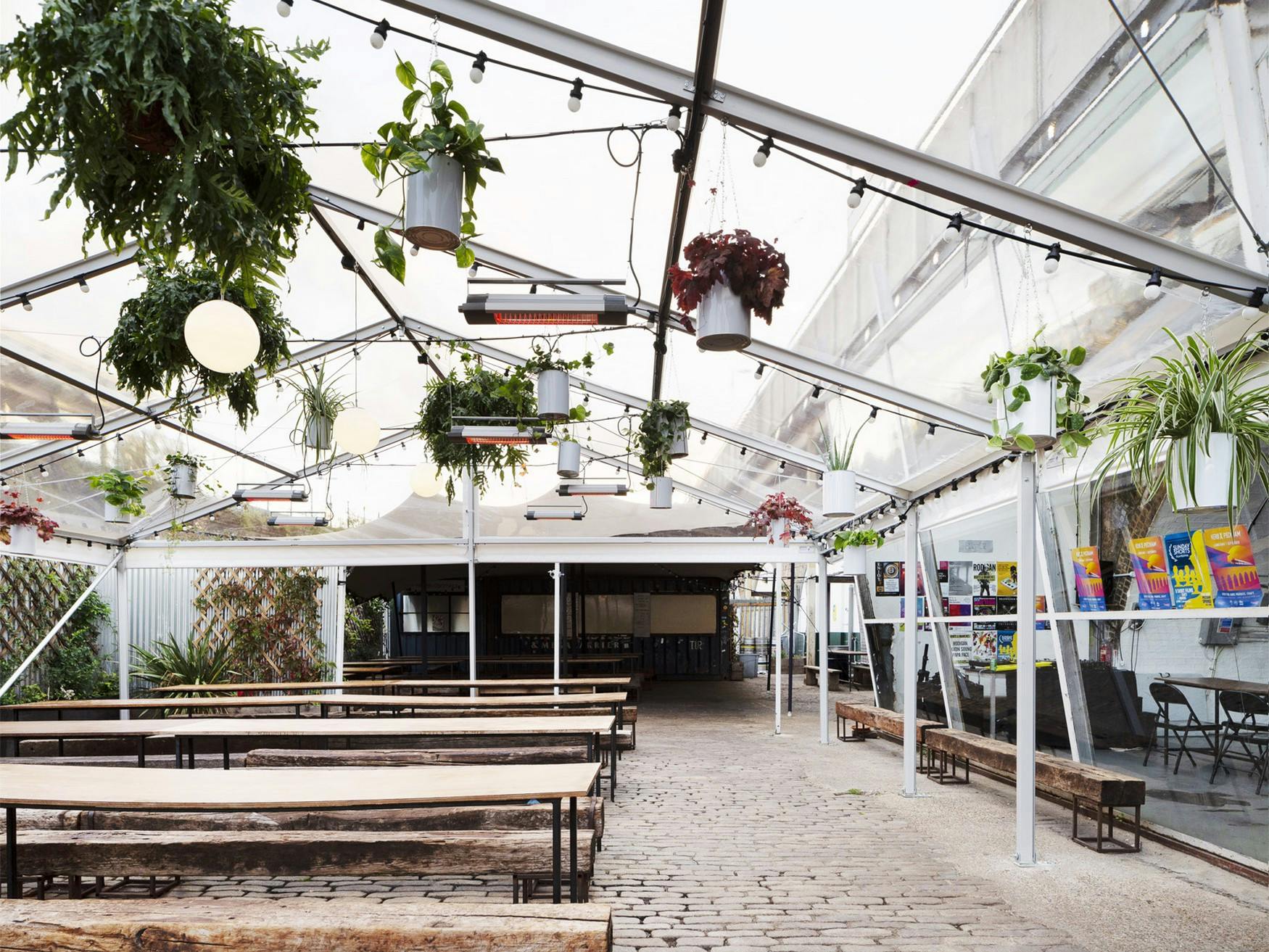 Peckham Springs - Palm House image 1