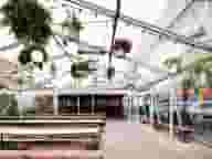 Beer Gardens