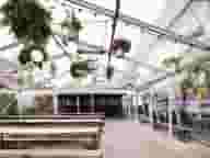 Beer Gardens