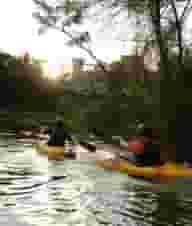 Company Retreats