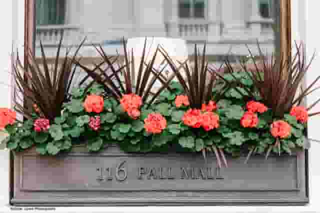 116 Pall Mall