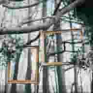 Party Venues