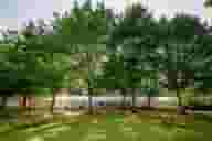 Palaces