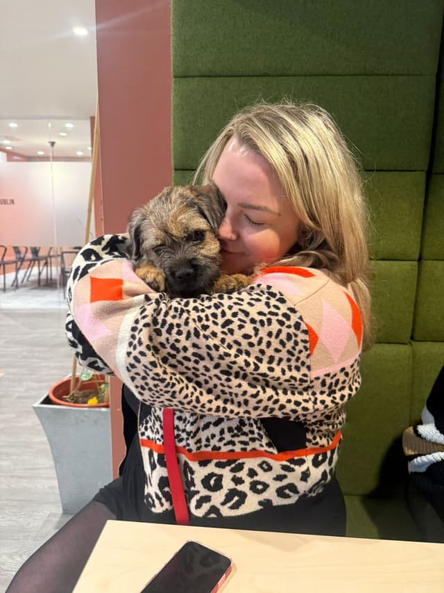 Possibly the same dog. Definitely the right energy.