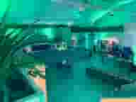 Party Venues
