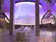 Basement Venues