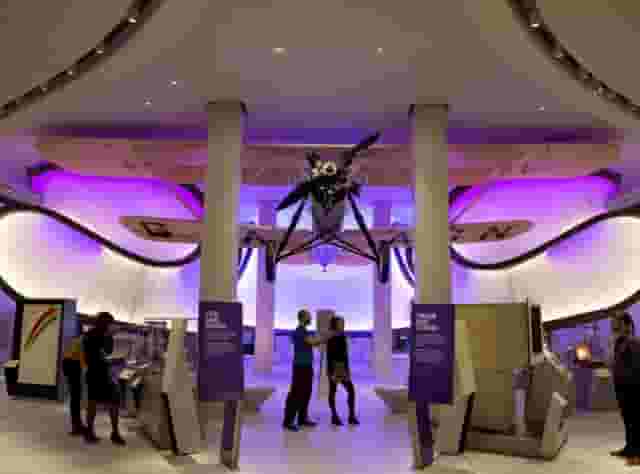 The Science Museum