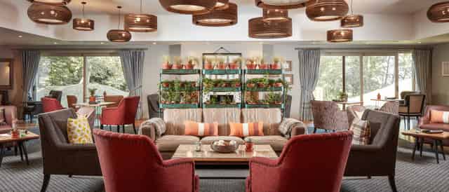 The Fish Hotel