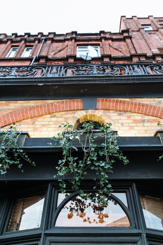 The Hackney