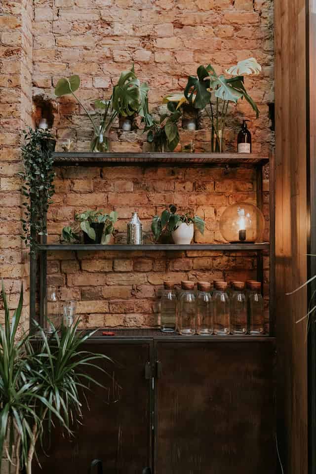 The Hackney