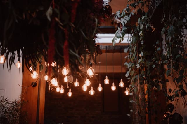 The Hackney