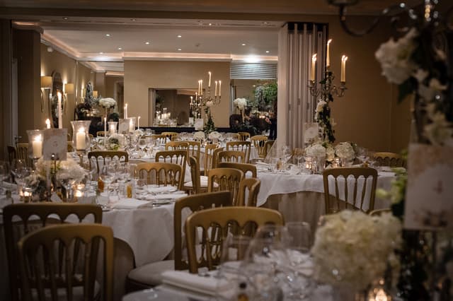 The Bingham