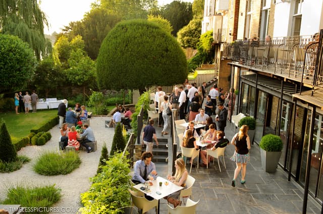 The Bingham