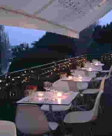 The Bingham