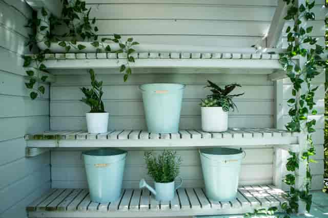 Al Fresco BBQ Garden with potted plants, perfect for wellness events and networking.