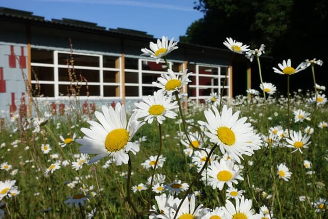 Gamlingay Eco Hub