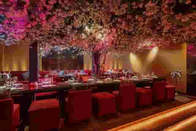 ROKA Charlotte Street