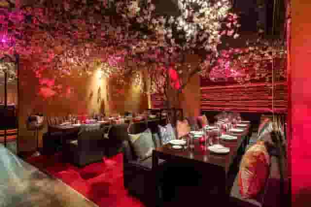 ROKA Charlotte Street