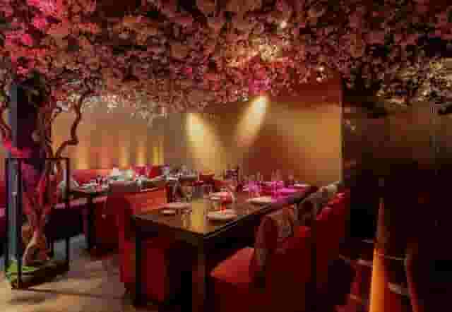 ROKA Charlotte Street