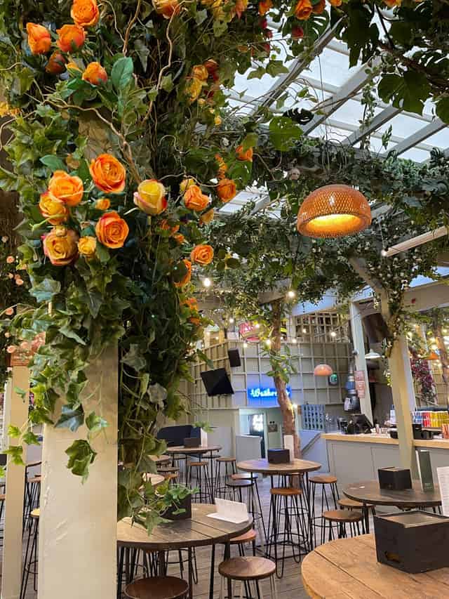 The Garden