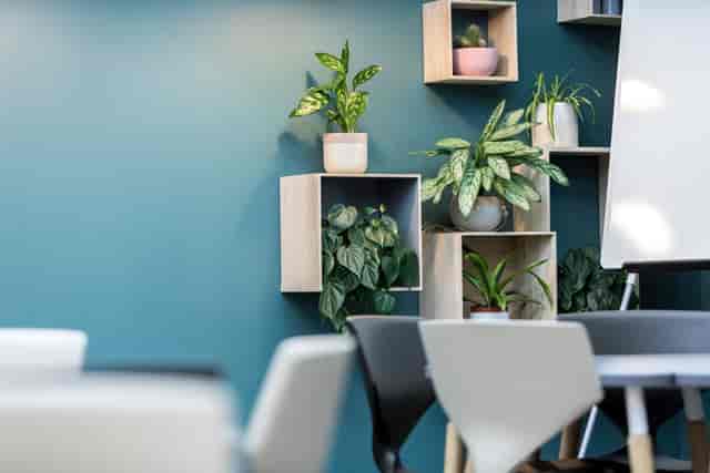 Meeting Room LG.05 at Uncommon Borough with teal walls, ideal for workshops and collaborations.