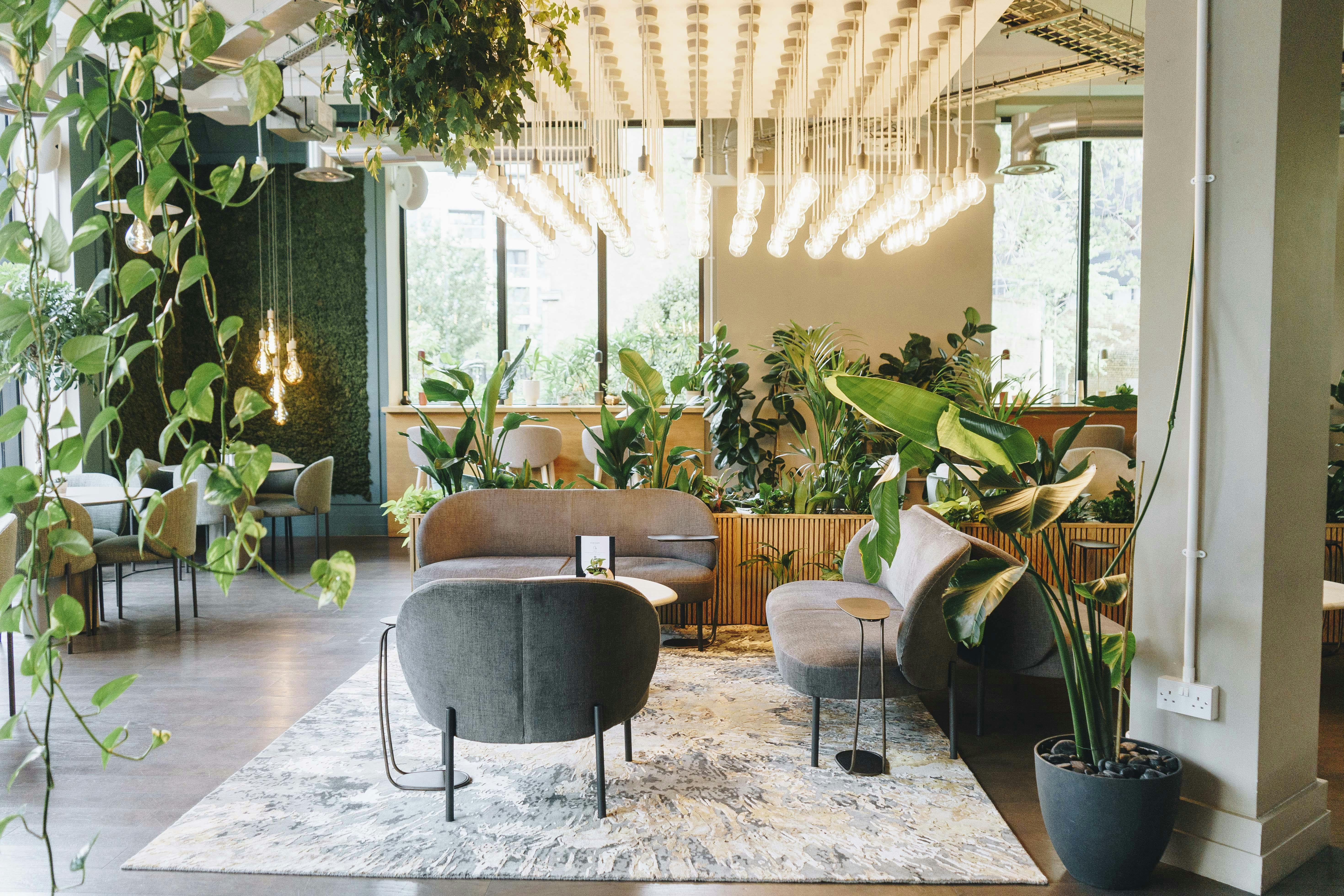 Uncommon Borough - Cafe Lounge image 1