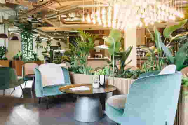 Cafe Lounge