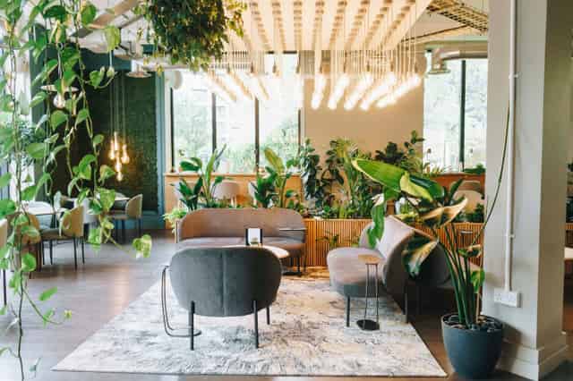 Cafe Lounge