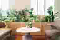 Reception Venues